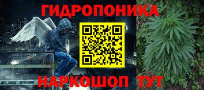 прущие грибы Чапаевск
