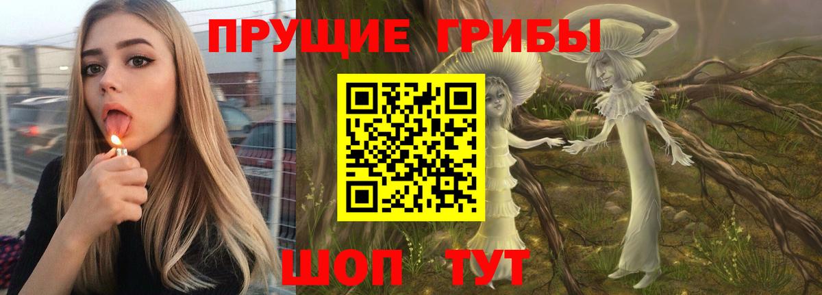 Большой Камень  Галлюциногенные грибы прущие грибы  Вход с VPN 